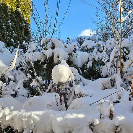 Haus Blume 아파트 *