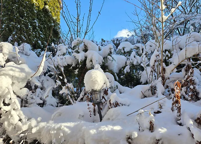 Haus Blume 아파트 *