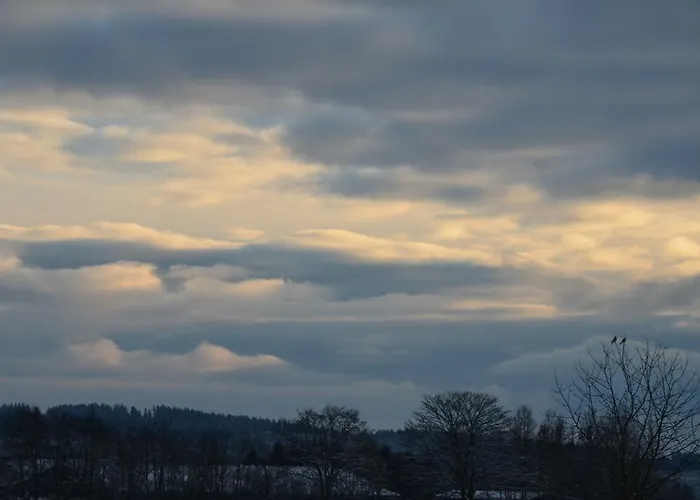 Haus Blume 아파트