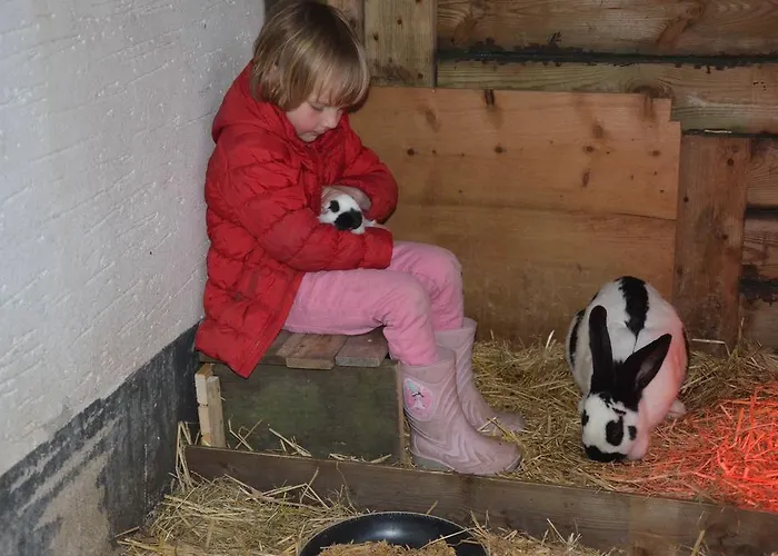 아파트 Haus Blume 메데바흐