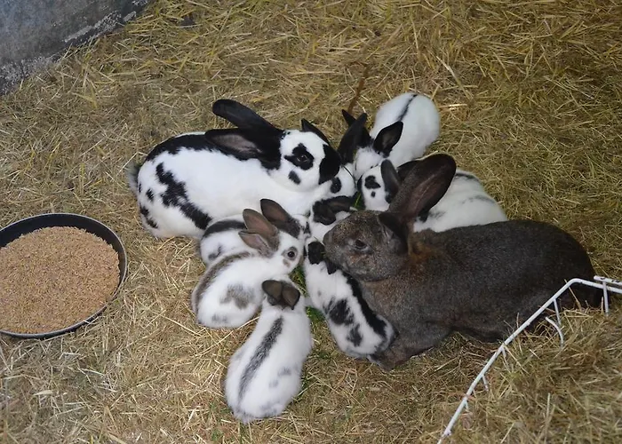 아파트 Haus Blume 메데바흐