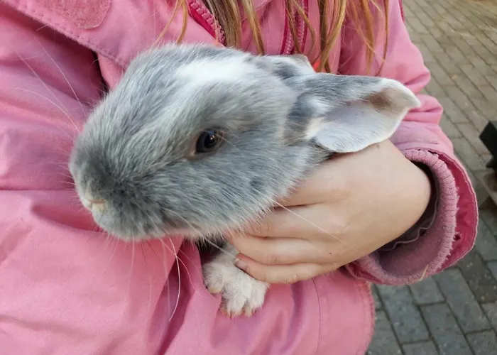 Haus Blume 아파트